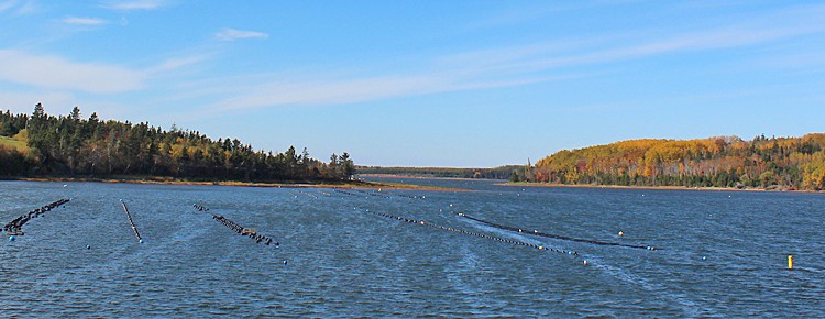 Oyster Farm Site Marking Banner