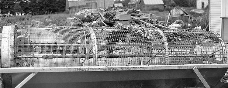 Oyster Seed Grading Banner