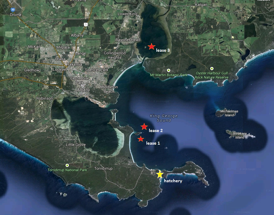 Great Southern Mussels Leases in Australia